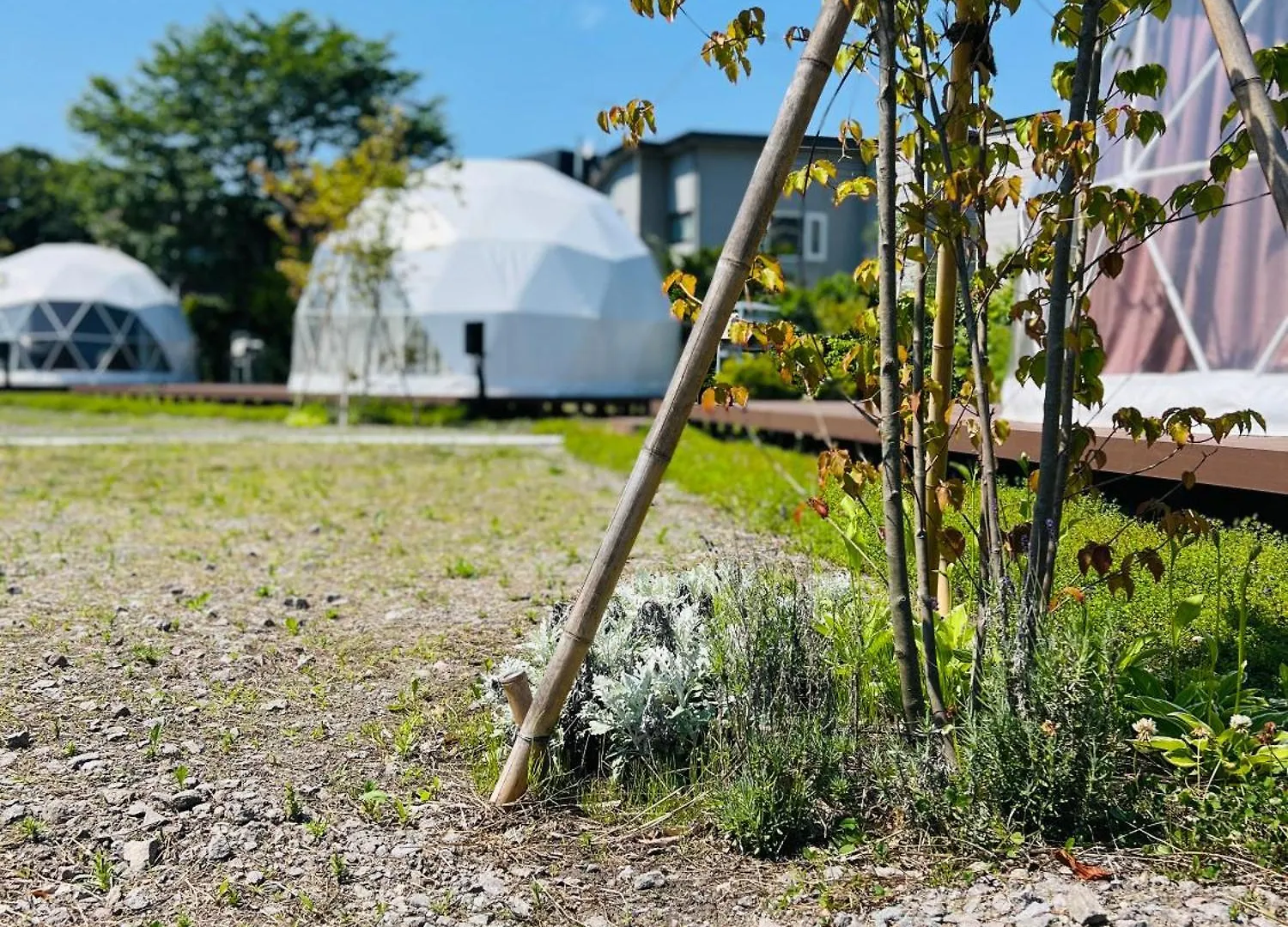 Yukara Glamping 北海道大沼公園 Hotel Nanae Luxury tent