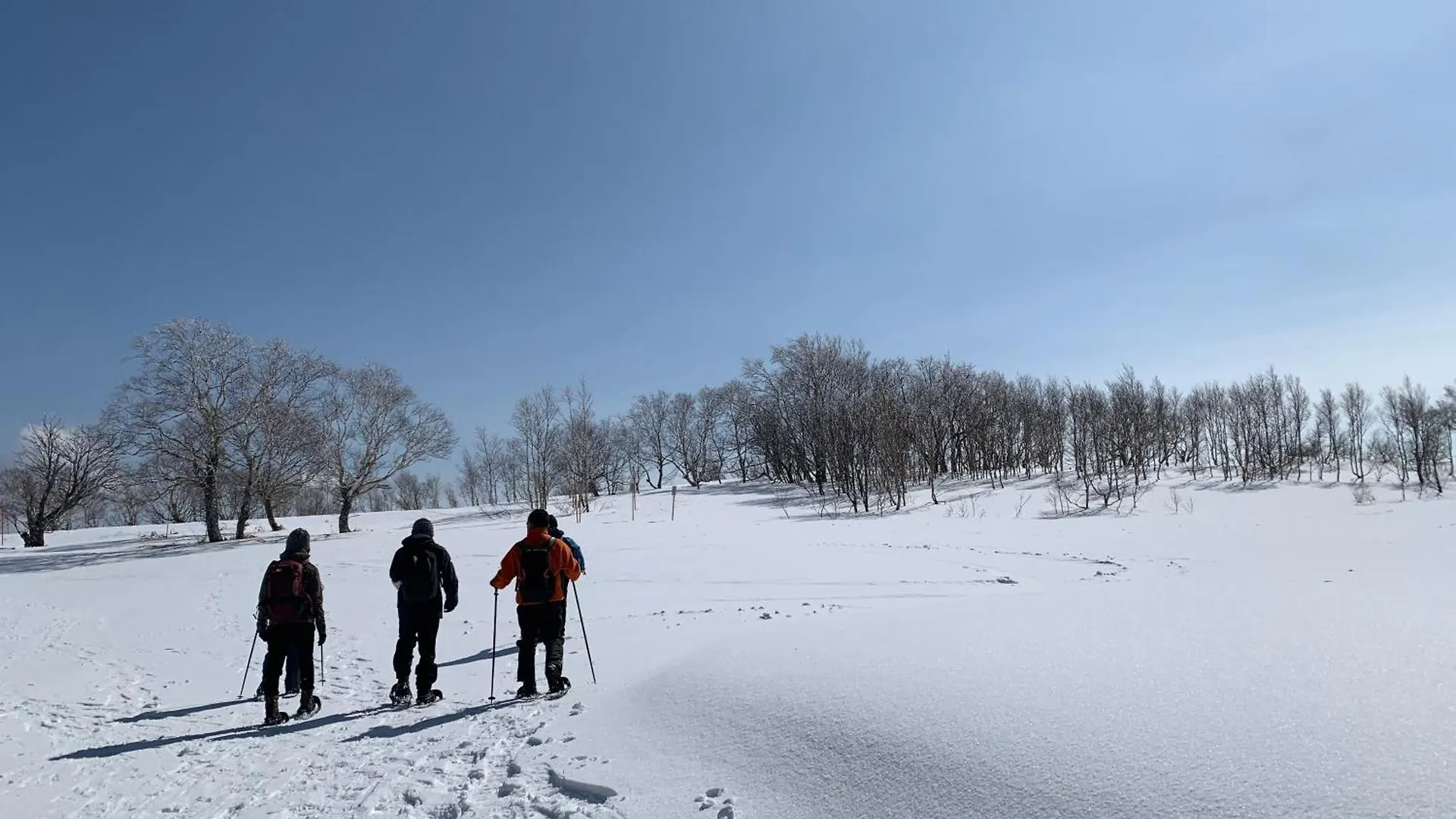 Yukara Glamping 北海道大沼公園 Hotel Nanae