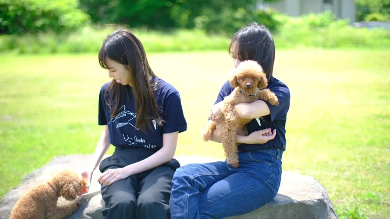 Yukara Glamping 北海道大沼公園 Hotel Nanae Luxury tent