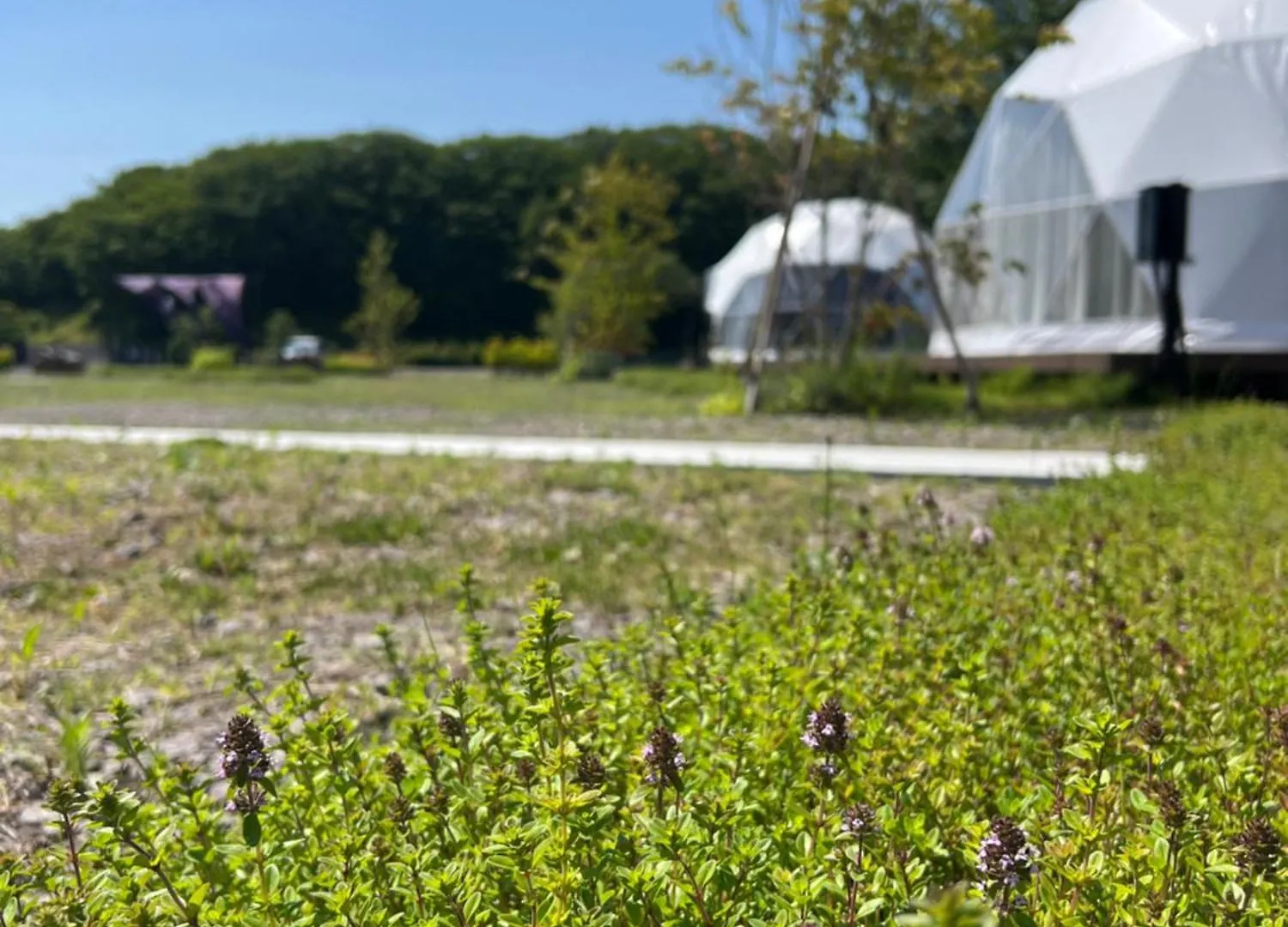 Yukara Glamping 北海道大沼公園 Hotel Nanae Japan